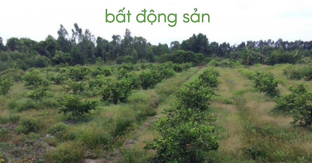 Ngược dòng lịch sử - Nhìn lại 3 chu kỳ sốt đất